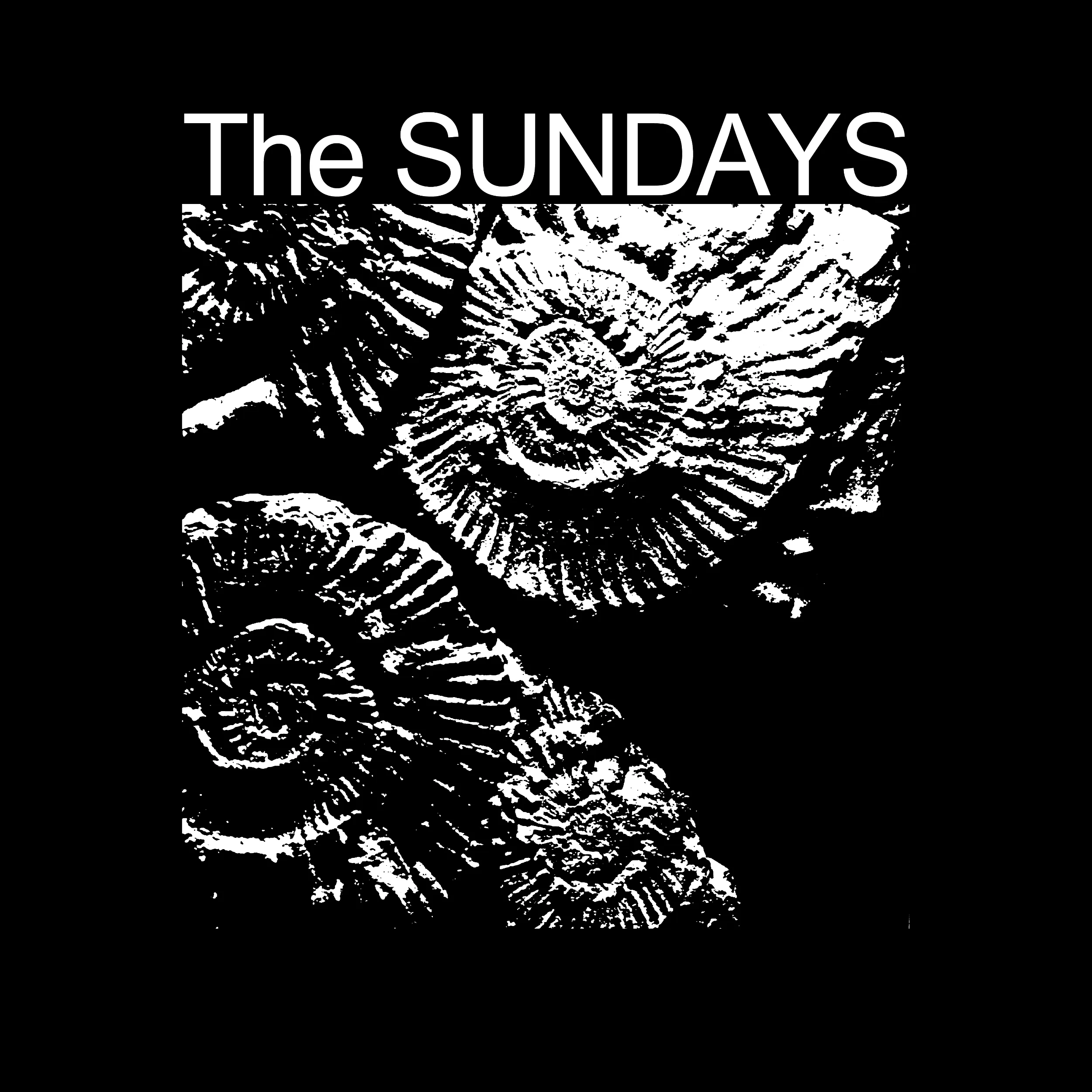 The Sundays Slim Fit Tee